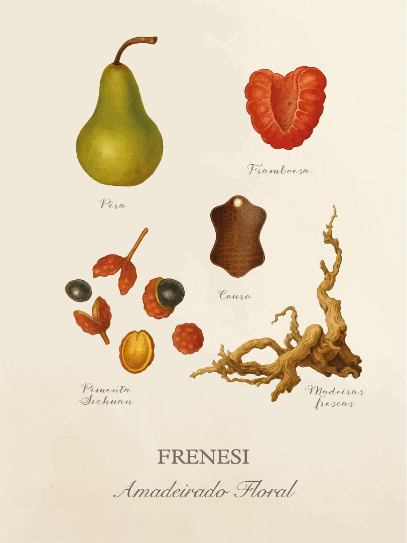 Frenesi -Cards-Perfumaria-pessoal-E-commerce-04